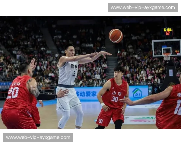 燃情辽沈,风起齐鲁:一场视觉与意志的巅峰对决,“辽宁vs山东录像”带你重温经典